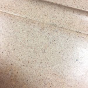 Meet your Posher, Bobby